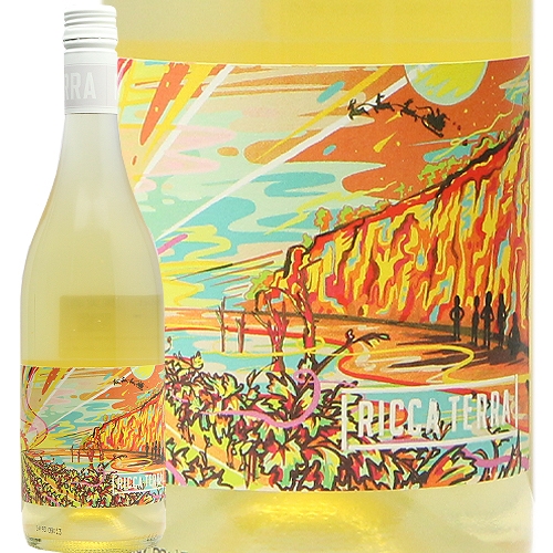 リッカ テッラ ハイ ヌーン 2024